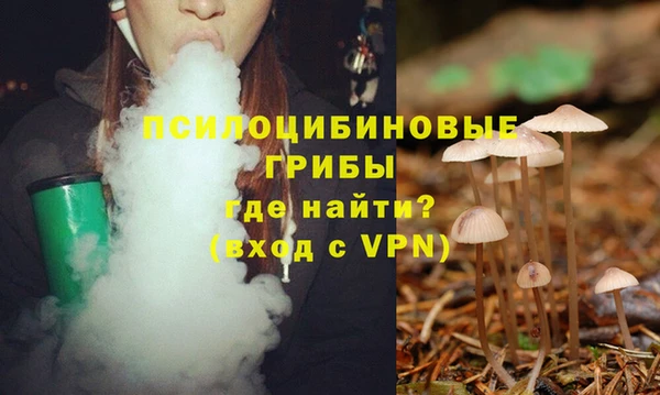 PSILOCYBIN Аркадак